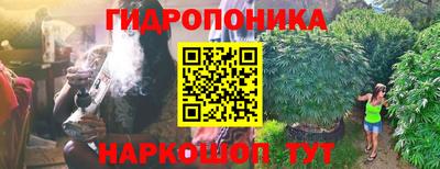 индика Ипатово